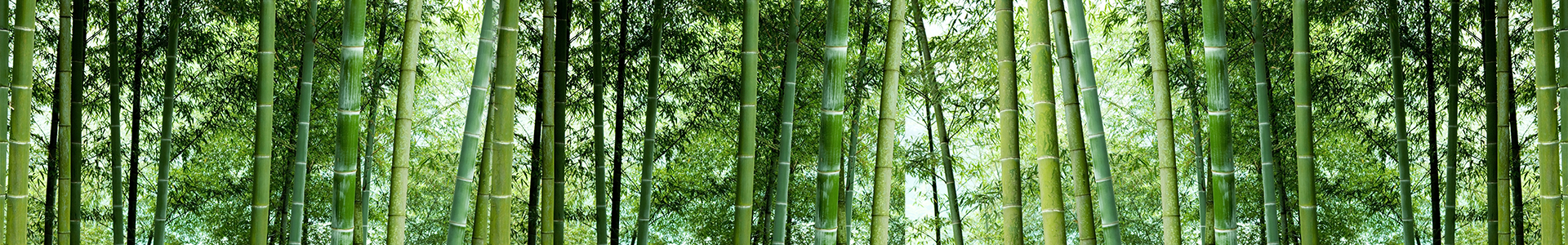 礦用風(fēng)門(mén)